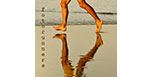 Foto Runners