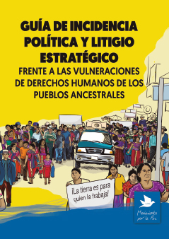 Guía de Incidencia Política y Litigo Estratégico Guía de Incidencia Política y Litigo Estratégico
