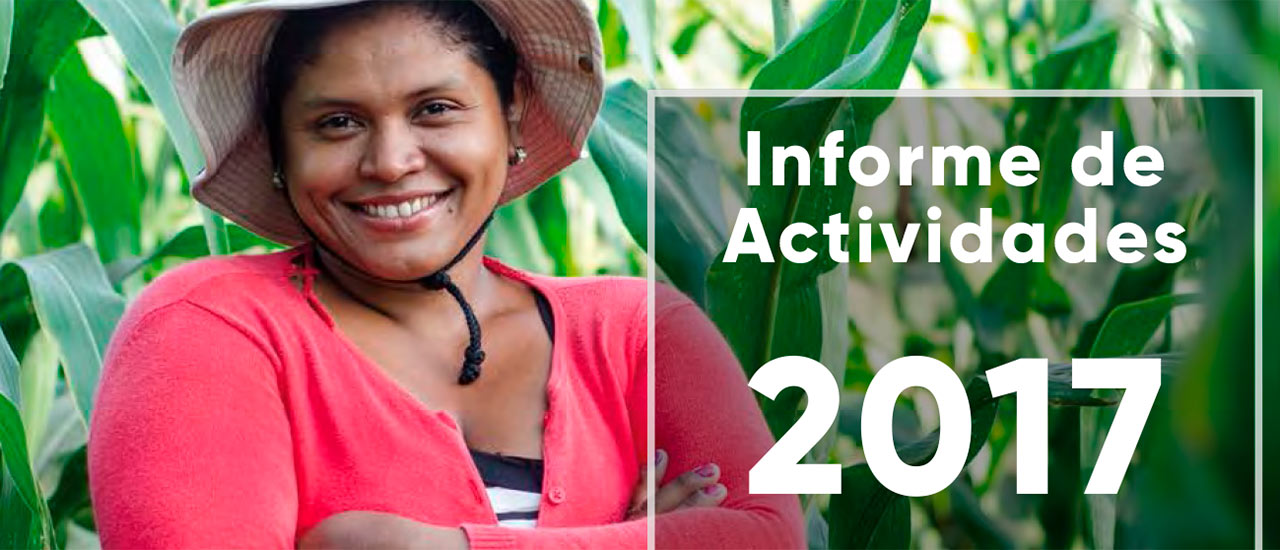 Presentación del Informe Anual de Actividades 2017