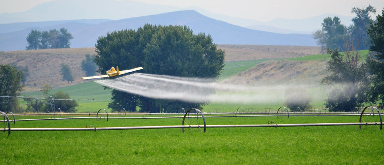Comunicado para el NO retorno de las fumigaciones aéreas con glifosato en Colombia