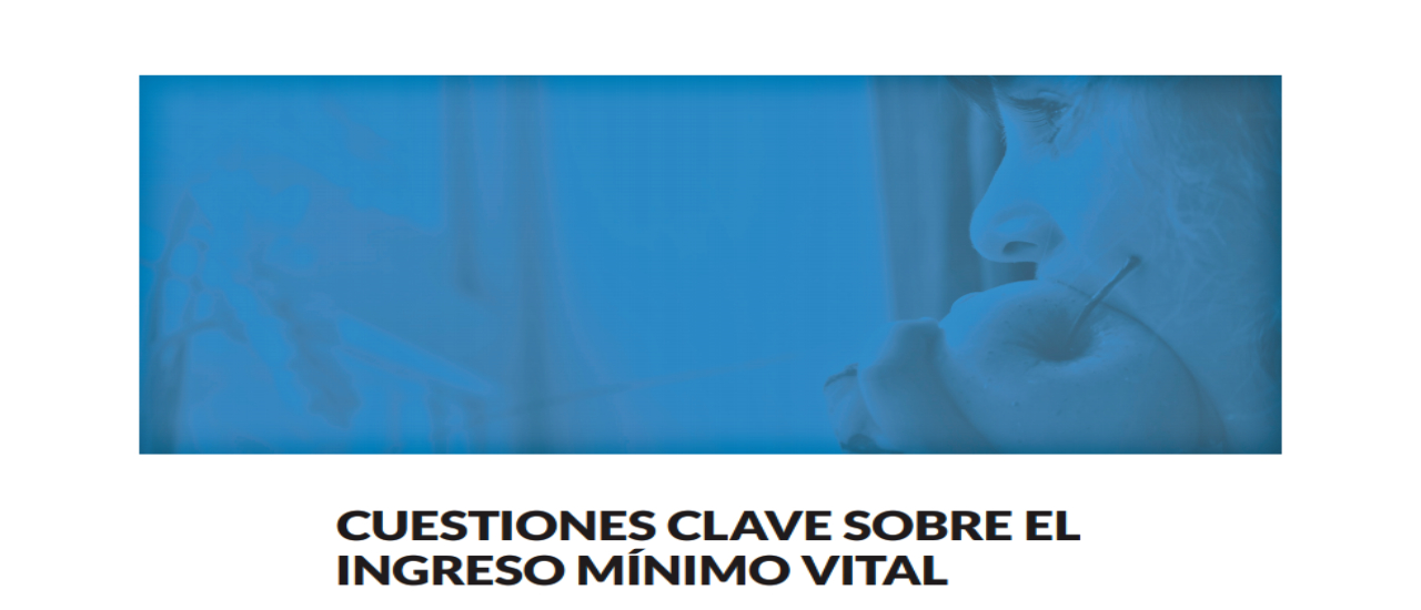 Ingreso Mínimo Vital: Cuestiones clave